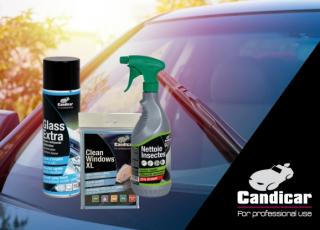 Candicar tips and products for a spotless, insect-free windshield