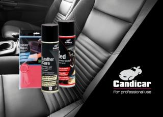 Care Guide for Your Car's Leather Seats | Candicar